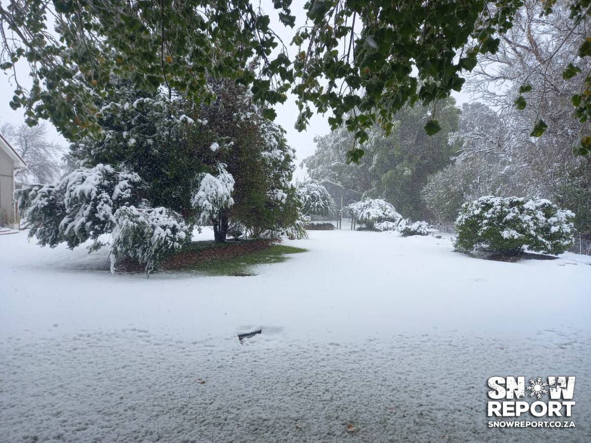 Snow in Loxton