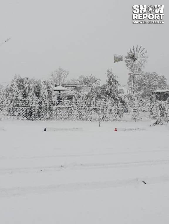 Snow in Loxton