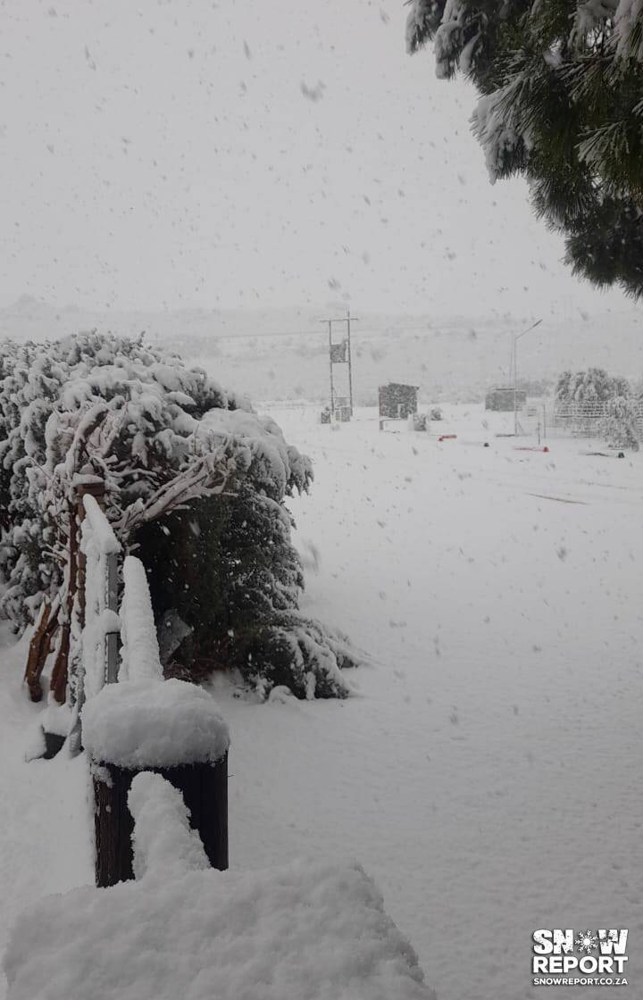 Snow in Loxton