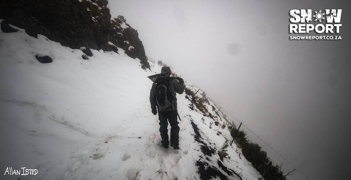 Cattle trapped in the snow in South Africa