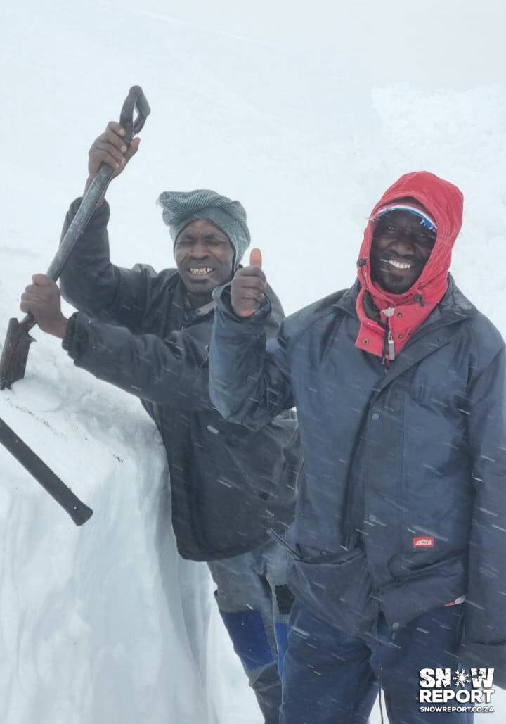 Cattle trapped in the snow in South Africa