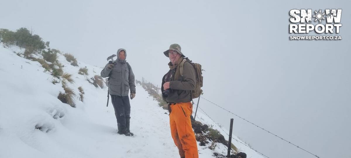 Cattle trapped in the snow in South Africa