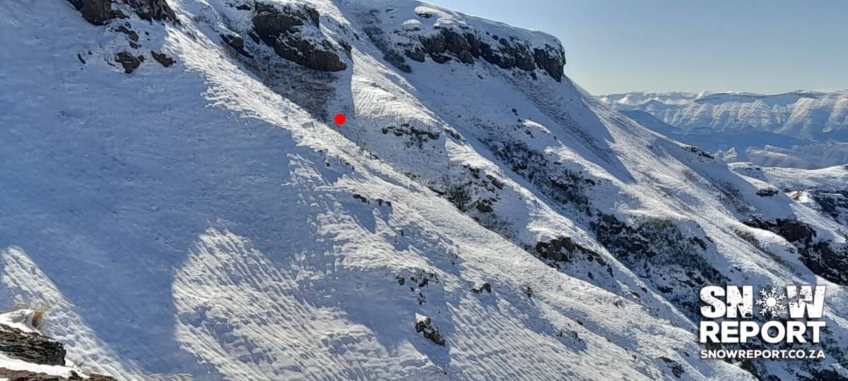 Cattle trapped in the snow in South Africa