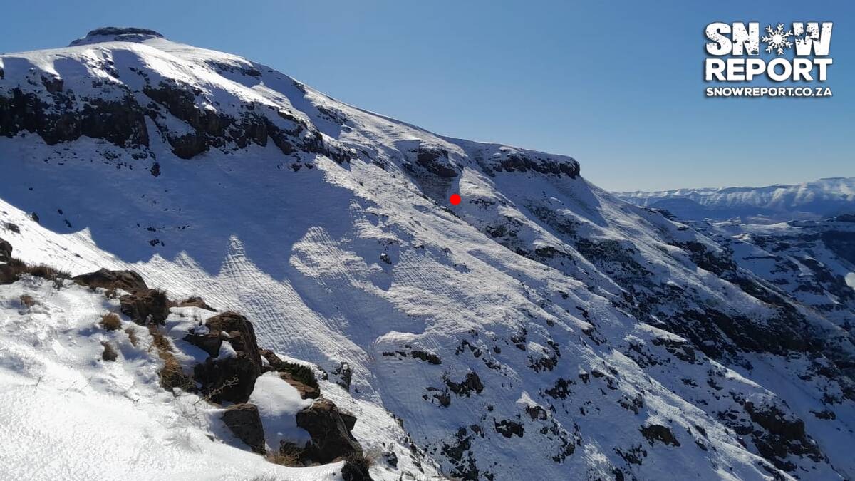 Cattle trapped in the snow in South Africa