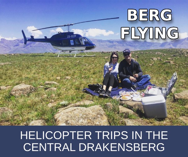 bergflying300