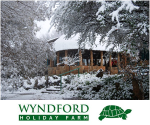 wyndford300